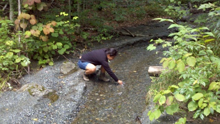 uvm environmental studies thesis To make this possible, the yale school of forestry & environmental studies (fes) offers a program combining a master’s degree in environmental management with a jd degree the program is a partnership with yale law school and with two other schools: pace university school of law and vermont law school. uvm environmental studies thesis To make this possible, the yale school of forestry & environmental studies (fes) offers a program combining a master’s degree in environmental management with a jd degree the program is a partnership with yale law school and with two other schools: pace university school of law and vermont law school.